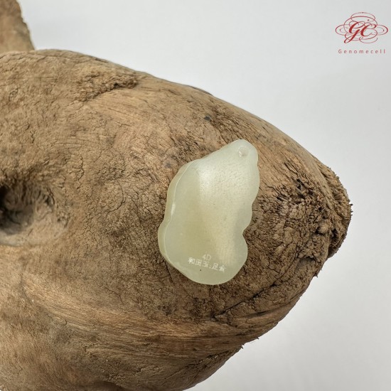 【肌容雪】天然美石和田玉貔貅造型吊墜 編號B206