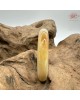 【肌容雪】天然美石冰雞油黃貴妃手鐲 編號B234(鐲圍57mm#18號) 【肌容雪】天然美石冰雞油黃貴妃手鐲 編號B234(鐲圍57mm#18號)