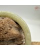 【肌容雪】天然美石青黃美人條手鐲 編號B241(鐲圍59.8mm#19號) 【肌容雪】天然美石青黃美人條手鐲 編號B241(鐲圍59.8mm#19號)