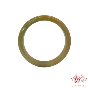 【肌容雪】緬甸天然A貨翡翠皇家綠翡翠手鐲 編號540 （鐲寬58.3mm ＃19號）