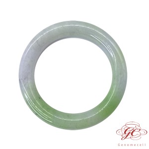 【肌容雪】緬甸天然A貨翡翠翠綠春彩翡翠手鐲 編號543 （鐲寬53.7mm #17.5號）
