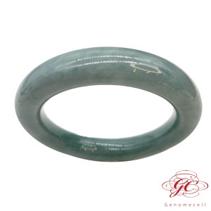 【肌容雪】緬甸天然A貨翡翠湖水藍翡翠手鐲編號711 (鐲寬54.4mm #17.5號)