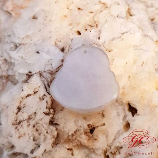 【肌容雪】緬甸天然A貨翡翠白翡佛像吊墜 編號961 【肌容雪】緬甸天然A貨翡翠白翡佛像吊墜 編號961
