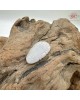 【肌容雪】天然緬甸翡翠A貨樹葉造型吊墜項鍊 編號993 【肌容雪】天然緬甸翡翠A貨樹葉造型吊墜項鍊 編號993