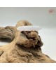 【肌容雪】天然緬甸翡翠A貨樹葉造型吊墜項鍊 編號993 【肌容雪】天然緬甸翡翠A貨樹葉造型吊墜項鍊 編號993