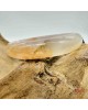 【肌容雪】櫻花瑪瑙手鐲 編號B173(鐲圍62.6mm #20.5號)