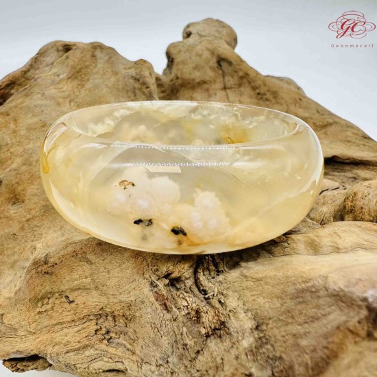 【肌容雪】櫻花瑪瑙手鐲 編號B176(鐲圍57.4mm #18號)
