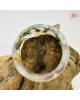 【肌容雪】櫻花瑪瑙手鐲 編號B195(鐲圍60.1mm #19號)