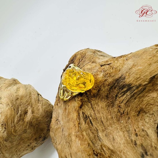 【肌容雪】貔貅造型黃琥珀戒指 編號B96戒圍18.8mm#15號 【肌容雪】貔貅造型黃琥珀戒指 編號B96戒圍18.8mm#15號
