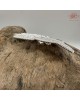 【肌容雪】老銀蝴蝶造型胸針附盒 編號A35 【肌容雪】老銀蝴蝶造型胸針附盒 編號A35