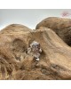【肌容雪】老銀花朵造型吊墜附盒 編號A40 【肌容雪】老銀花朵造型吊墜附盒 編號A40