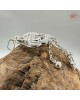 【肌容雪】魚躍蓮花造型吊墜附盒 編號A50 【肌容雪】魚躍蓮花造型吊墜附盒 編號A50