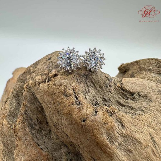 【肌容雪】星芒綻放鋯鑽耳環 編號D09
