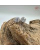 【肌容雪】星芒綻放鋯鑽耳環 編號D09