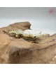 【肌容雪】雙蝶白貝天然珍珠胸針附收納盒 編號P13 【肌容雪】雙蝶白貝天然珍珠胸針附收納盒 編號P13