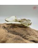 【肌容雪】雙蝶白貝天然珍珠胸針附收納盒 編號P13 【肌容雪】雙蝶白貝天然珍珠胸針附收納盒 編號P13