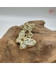 【肌容雪】雙蝶白貝天然珍珠胸針附收納盒 編號P13 【肌容雪】雙蝶白貝天然珍珠胸針附收納盒 編號P13
