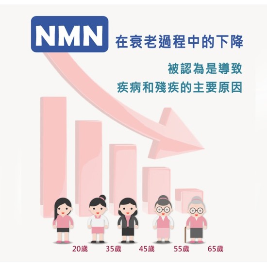 【特惠六入組合】美研室 NMN 60顆