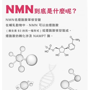 【特惠六入組合】美研室 NMN 60顆