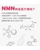 【特惠六入組合】美研室 NMN 60顆