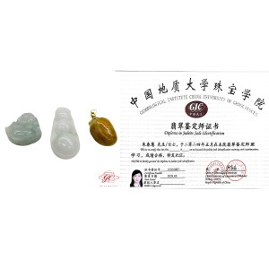 【肌容雪】天然緬甸A貨翡翠碗豆吊飾 編號113