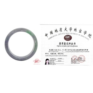 【肌容雪】天然緬甸春彩翡翠手鐲A貨 編號216 (鐲寬58mm #18.5號)
