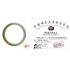 【肌容雪】天然緬甸A貨黃翡半山辦水翡翠手鐲 編號220(鐲寬 58.5mm #19號)