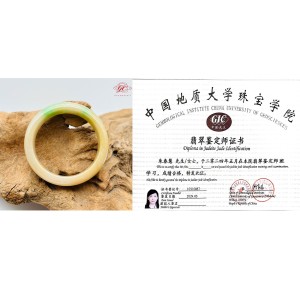 【肌容雪】天然緬甸A貨皇家綠翡翠手鐲 編號241 (鐲寬54.3mm #17.5號)