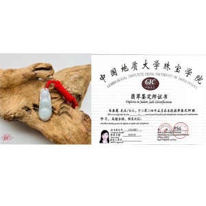 【肌容雪】緬甸天然A貨翡翠豌豆吊墜 編號86