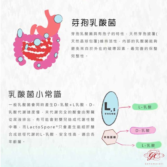 【肌容雪】長鎂菌 15包(單一活性芽孢乳酸菌) (18億菌數) 【肌容雪】長鎂菌 15包(單一活性芽孢乳酸菌) (18億菌數)