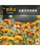 【特惠六入組合】靚仔黃金果369-30顆 【特惠六入組合】靚仔黃金果369-30顆