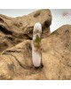 【肌容雪】天然緬甸A貨粉春撒金翡翠平安鐲 編號206(鐲圍54.7mm#17號)