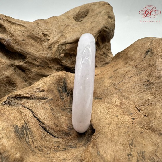 【肌容雪】天然緬甸A貨粉春撒金翡翠平安鐲 編號206(鐲圍54.7mm#17號)