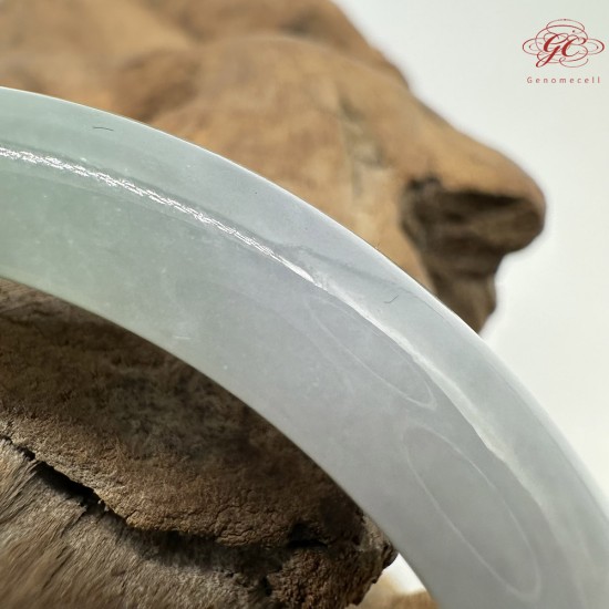 【肌容雪】天然緬甸A貨冰福祿壽春彩翡翠平安鐲 編號371(鐲圍62.5mm#20號)