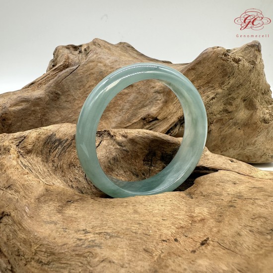 【肌容雪】天然緬甸A貨藍水翡翠平安鐲 編號379(鐲圍54.8mm#17號)