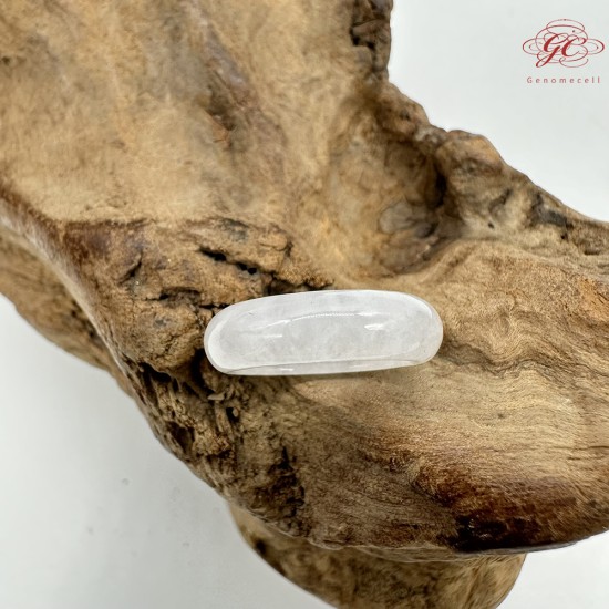 【肌容雪】天然緬甸A貨白月光翡翠戒圈 編號385(戒圍15.9mm#9號)