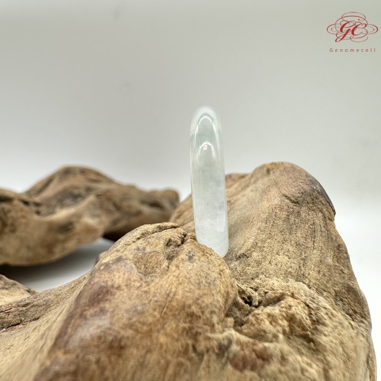 【肌容雪】天然緬甸A貨綠飄花翡翠戒圈 編號389(戒圍17.6mm#12號)
