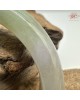 【肌容雪】天然緬甸A貨冰春帶彩翡翠正圈手鐲 編號435(鐲圍57.4mm#18號)
