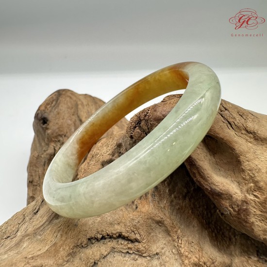 【肌容雪】天然緬甸A貨冰膠黃翡翠正圈手鐲 編號446(鐲圍57.4mm#18號)