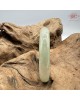 【肌容雪】天然緬甸A貨冰膠黃翡翠正圈手鐲 編號446(鐲圍57.4mm#18號)