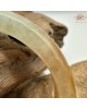 【肌容雪】天然緬甸A貨冰膠黃翡翠正圈手鐲 編號446(鐲圍57.4mm#18號)