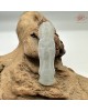 【肌容雪】天然緬甸A貨春彩翡翠觀音造型吊墜 編號468