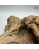 【肌容雪】天然緬甸A貨辣綠翡翠18K吊墜 編號470