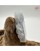 【肌容雪】天然緬甸A貨春彩翡翠龍雕擺件/印章 編號499