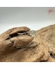 【肌容雪】天然緬甸A貨冰翡翠蛋面可調節戒指 編號503(戒圍17.7mm#12號)