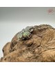 【肌容雪】天然緬甸A貨綠翡翠四葉草造型項鍊 編號511