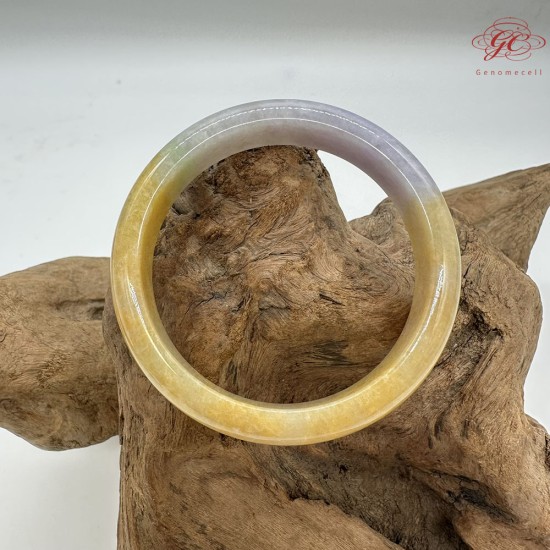 【肌容雪】天然緬甸A貨紫底黃翡翠正圈手鐲 編號523(鐲圍59.5mm#19號)