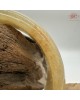 【肌容雪】天然緬甸A貨黃翡翠正圈手鐲 編號529(鐲圍61.3mm#19.5號)