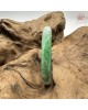 【肌容雪】天然緬甸A貨翡翠綠飄花圓條手鐲 編號533(鐲圍54.2mm#17號)