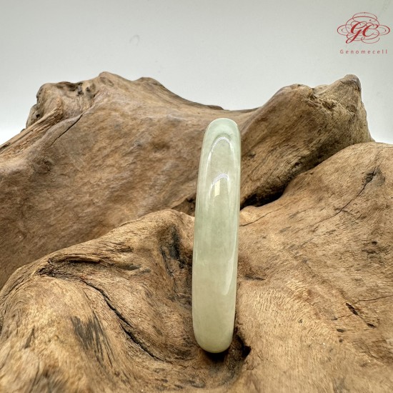 【肌容雪】天然緬甸A貨高冰黃翡翠正圈手鐲 編號567(鐲圍57.4mm#18號)